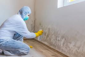 Best Industrial Mold Remediation  in Cohoe, AK